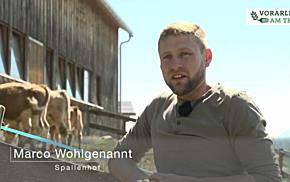 Vorarlberg am Teller  -  Regionale Lebensmittel in der Gemeinschaftsverpflegung